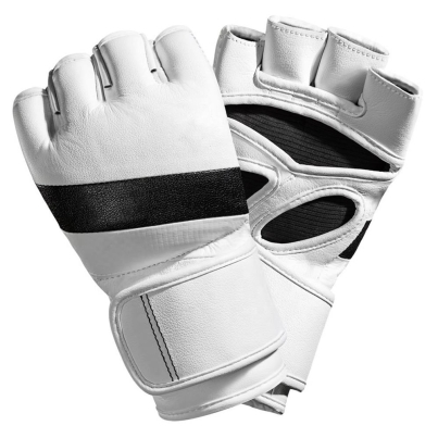 grappling gloves (1)